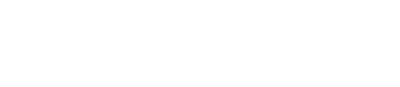 Stock Car Racer logo for Playstation
